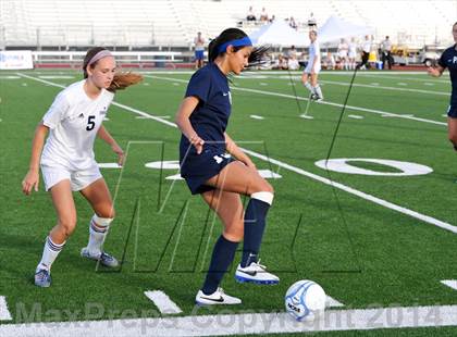 Thumbnail 1 in Pinnacle vs. Perry (AIA D1 Final) photogallery.