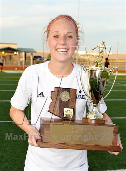 Thumbnail 1 in Pinnacle vs. Perry (AIA D1 Final) photogallery.
