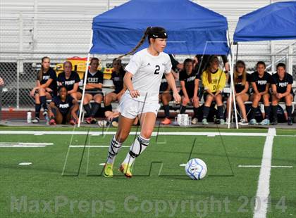 Thumbnail 2 in Pinnacle vs. Perry (AIA D1 Final) photogallery.