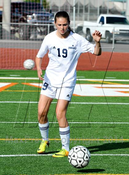 Thumbnail 3 in Pinnacle vs. Perry (AIA D1 Final) photogallery.