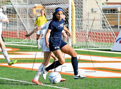 Thumbnail 1 in Pinnacle vs. Perry (AIA D1 Final) photogallery.