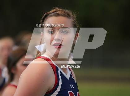 Thumbnail 3 in Manatee @ Steinbrenner photogallery.