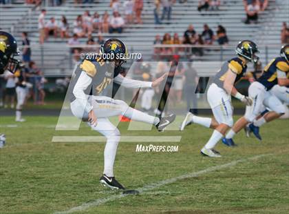 Thumbnail 1 in Manatee @ Steinbrenner photogallery.