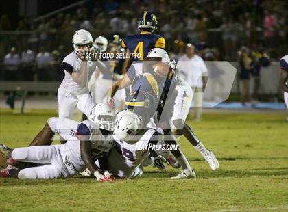 Thumbnail 1 in Manatee @ Steinbrenner photogallery.