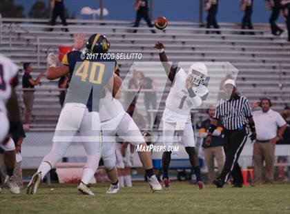 Thumbnail 1 in Manatee @ Steinbrenner photogallery.