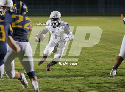 Thumbnail 3 in Manatee @ Steinbrenner photogallery.