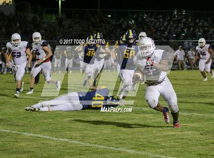 Thumbnail 3 in Manatee @ Steinbrenner photogallery.