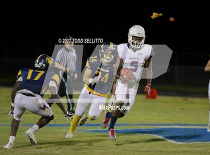 Thumbnail 2 in Manatee @ Steinbrenner photogallery.