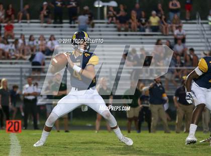 Thumbnail 3 in Manatee @ Steinbrenner photogallery.