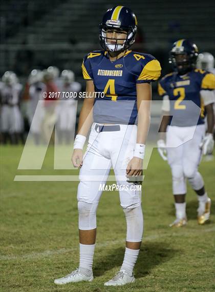 Thumbnail 1 in Manatee @ Steinbrenner photogallery.