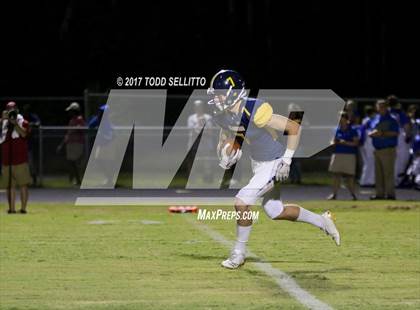 Thumbnail 3 in Manatee @ Steinbrenner photogallery.