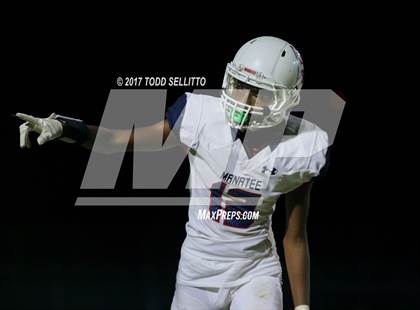 Thumbnail 1 in Manatee @ Steinbrenner photogallery.