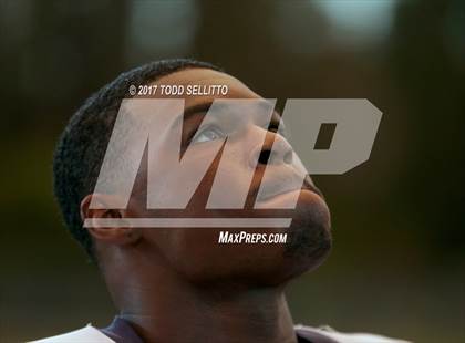 Thumbnail 1 in Manatee @ Steinbrenner photogallery.