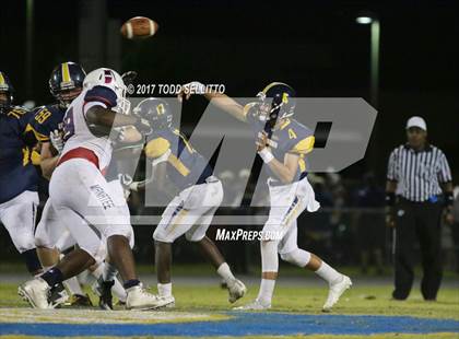 Thumbnail 3 in Manatee @ Steinbrenner photogallery.