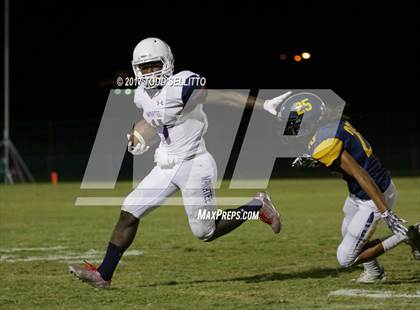 Thumbnail 3 in Manatee @ Steinbrenner photogallery.