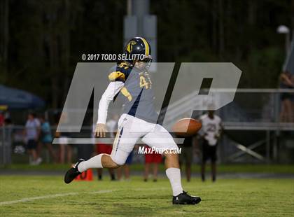 Thumbnail 1 in Manatee @ Steinbrenner photogallery.
