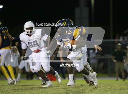 Thumbnail 2 in Manatee @ Steinbrenner photogallery.