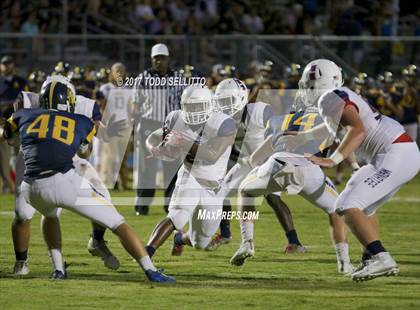 Thumbnail 2 in Manatee @ Steinbrenner photogallery.