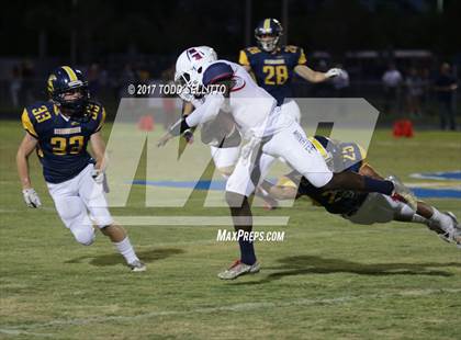 Thumbnail 1 in Manatee @ Steinbrenner photogallery.