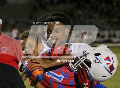 Thumbnail 1 in Manatee @ Steinbrenner photogallery.