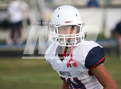 Thumbnail 1 in Manatee @ Steinbrenner photogallery.