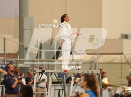 Thumbnail 1 in Manatee @ Steinbrenner photogallery.