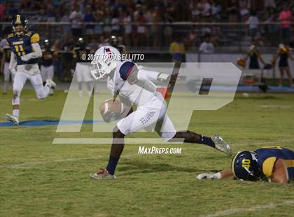 Thumbnail 3 in Manatee @ Steinbrenner photogallery.