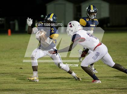 Thumbnail 2 in Manatee @ Steinbrenner photogallery.