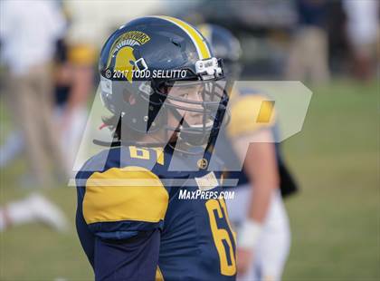 Thumbnail 1 in Manatee @ Steinbrenner photogallery.