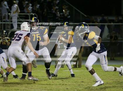 Thumbnail 3 in Manatee @ Steinbrenner photogallery.