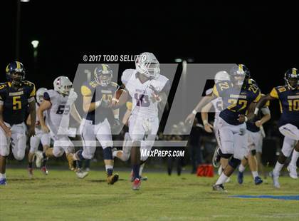 Thumbnail 2 in Manatee @ Steinbrenner photogallery.