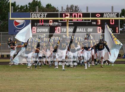 Thumbnail 2 in Manatee @ Steinbrenner photogallery.