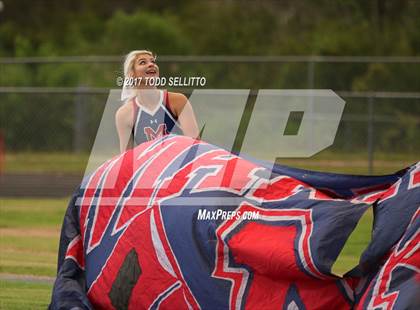 Thumbnail 2 in Manatee @ Steinbrenner photogallery.