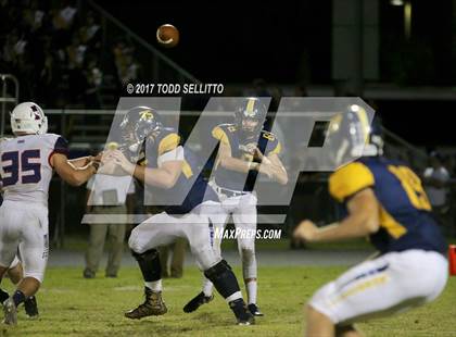 Thumbnail 1 in Manatee @ Steinbrenner photogallery.