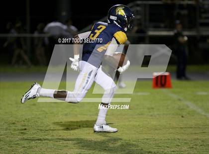 Thumbnail 1 in Manatee @ Steinbrenner photogallery.
