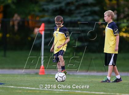 Thumbnail 2 in Brockport @ Spencerport photogallery.