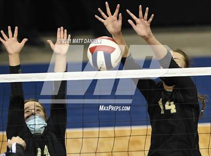 Thumbnail 3 in Grandview @ Mountain Vista (CHSAA 5A Playoff) photogallery.