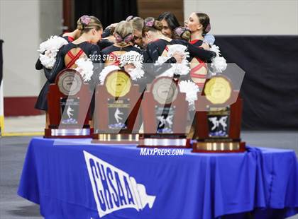 Thumbnail 1 in Roosevelt CHSAA Spirit Poms photogallery.