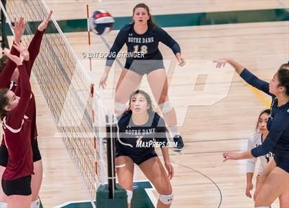 Thumbnail 2 in CCS Div4 Girls Volleyball Championship (Sacred Heart Prep vs. Notre Dame) photogallery.