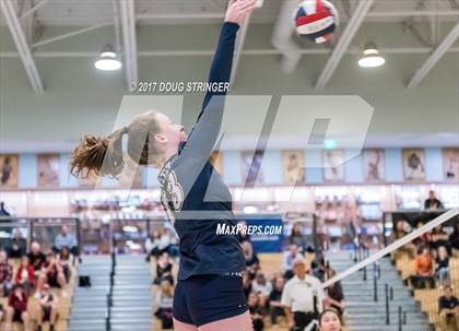 Thumbnail 2 in CCS Div4 Girls Volleyball Championship (Sacred Heart Prep vs. Notre Dame) photogallery.