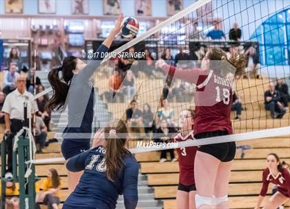 Thumbnail 1 in CCS Div4 Girls Volleyball Championship (Sacred Heart Prep vs. Notre Dame) photogallery.