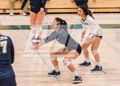 Thumbnail 1 in CCS Div4 Girls Volleyball Championship (Sacred Heart Prep vs. Notre Dame) photogallery.