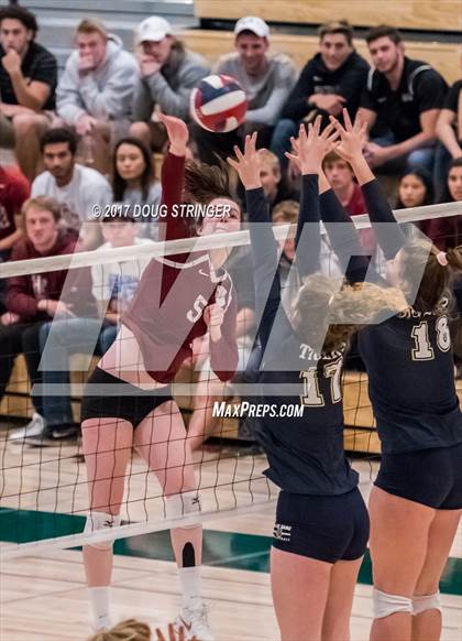 Thumbnail 1 in CCS Div4 Girls Volleyball Championship (Sacred Heart Prep vs. Notre Dame) photogallery.