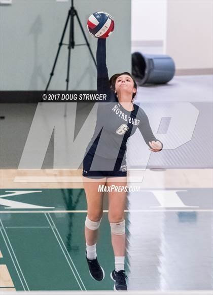Thumbnail 3 in CCS Div4 Girls Volleyball Championship (Sacred Heart Prep vs. Notre Dame) photogallery.