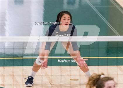 Thumbnail 3 in CCS Div4 Girls Volleyball Championship (Sacred Heart Prep vs. Notre Dame) photogallery.