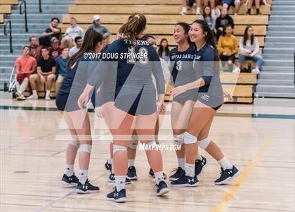 Thumbnail 3 in CCS Div4 Girls Volleyball Championship (Sacred Heart Prep vs. Notre Dame) photogallery.