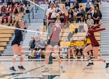 Thumbnail 3 in CCS Div4 Girls Volleyball Championship (Sacred Heart Prep vs. Notre Dame) photogallery.