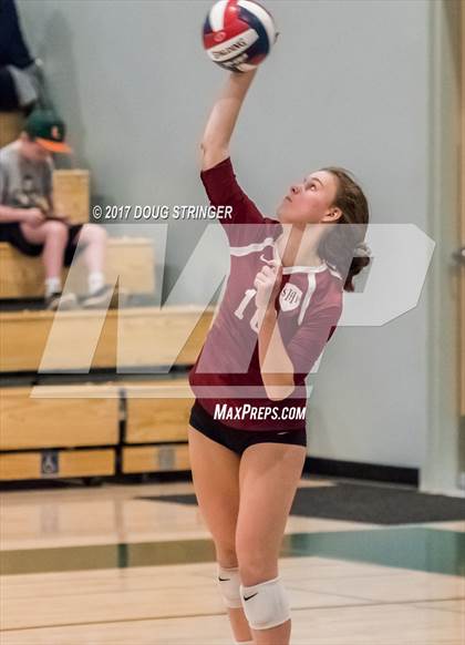 Thumbnail 1 in CCS Div4 Girls Volleyball Championship (Sacred Heart Prep vs. Notre Dame) photogallery.