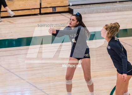 Thumbnail 1 in CCS Div4 Girls Volleyball Championship (Sacred Heart Prep vs. Notre Dame) photogallery.