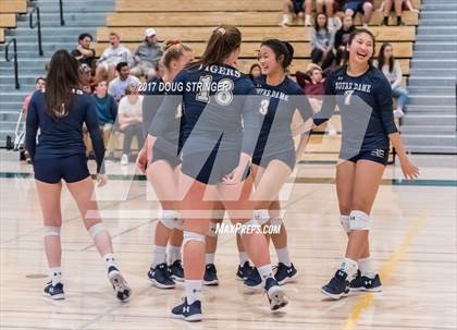 Thumbnail 2 in CCS Div4 Girls Volleyball Championship (Sacred Heart Prep vs. Notre Dame) photogallery.